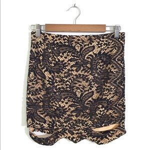 Angel Biba Cream + Black Lace Cocktail Skirt 10